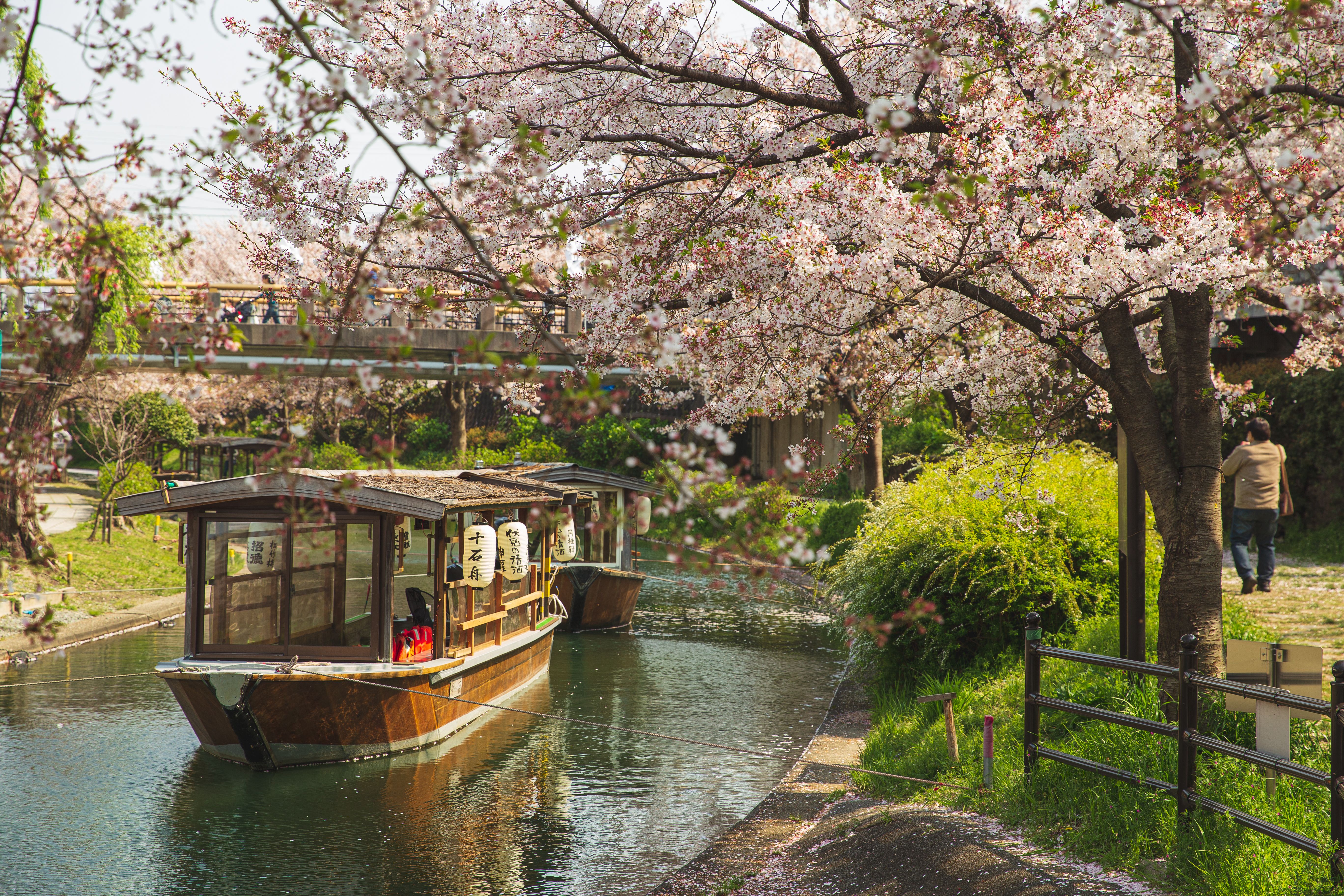 Hoshinoya Kyoto : le ryokan caché que seule la rivière permet d'atteindre