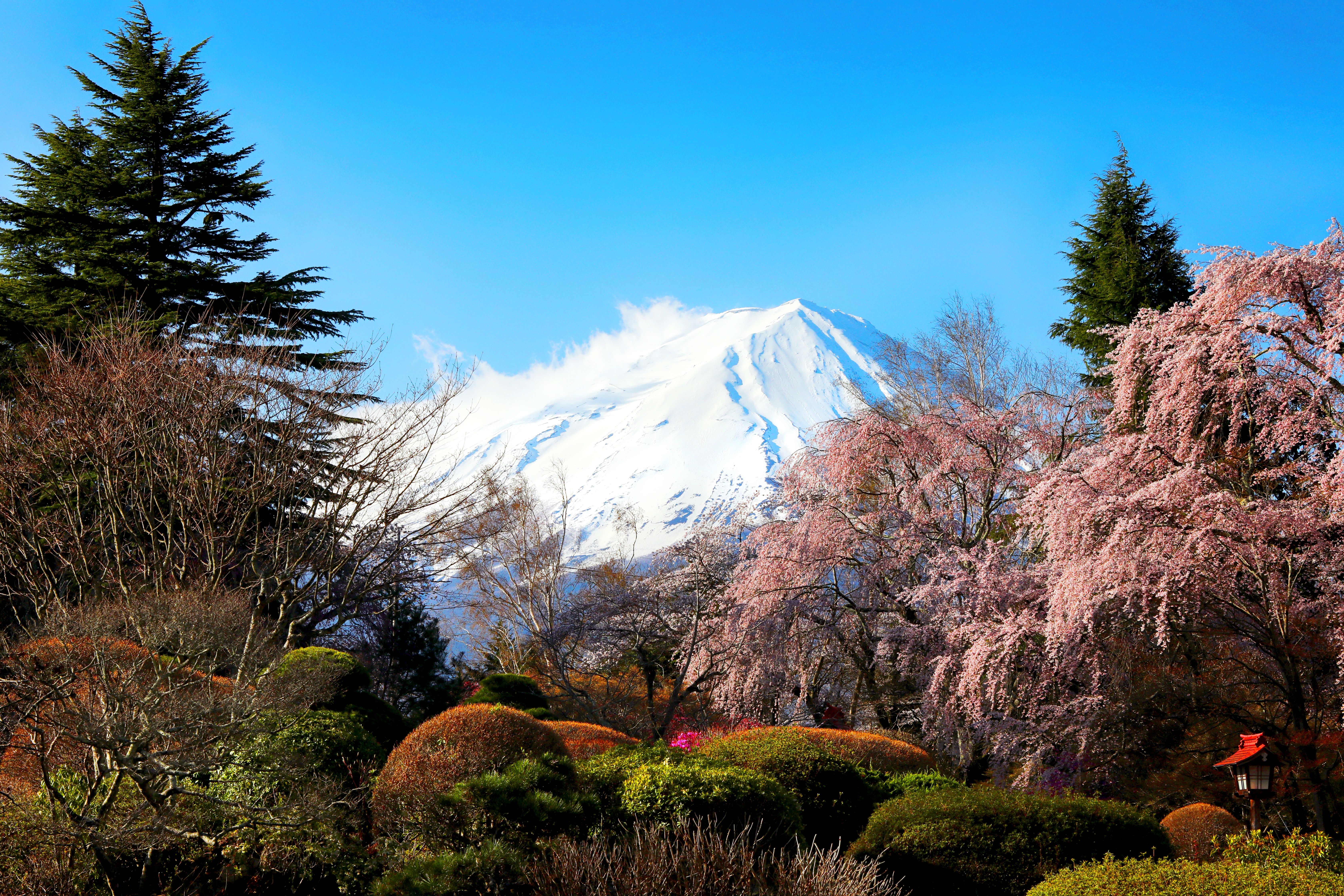 Park Hyatt Tokyo : le palace caché dans les nuages de Shinjuku vaut-il vraiment son prix ?