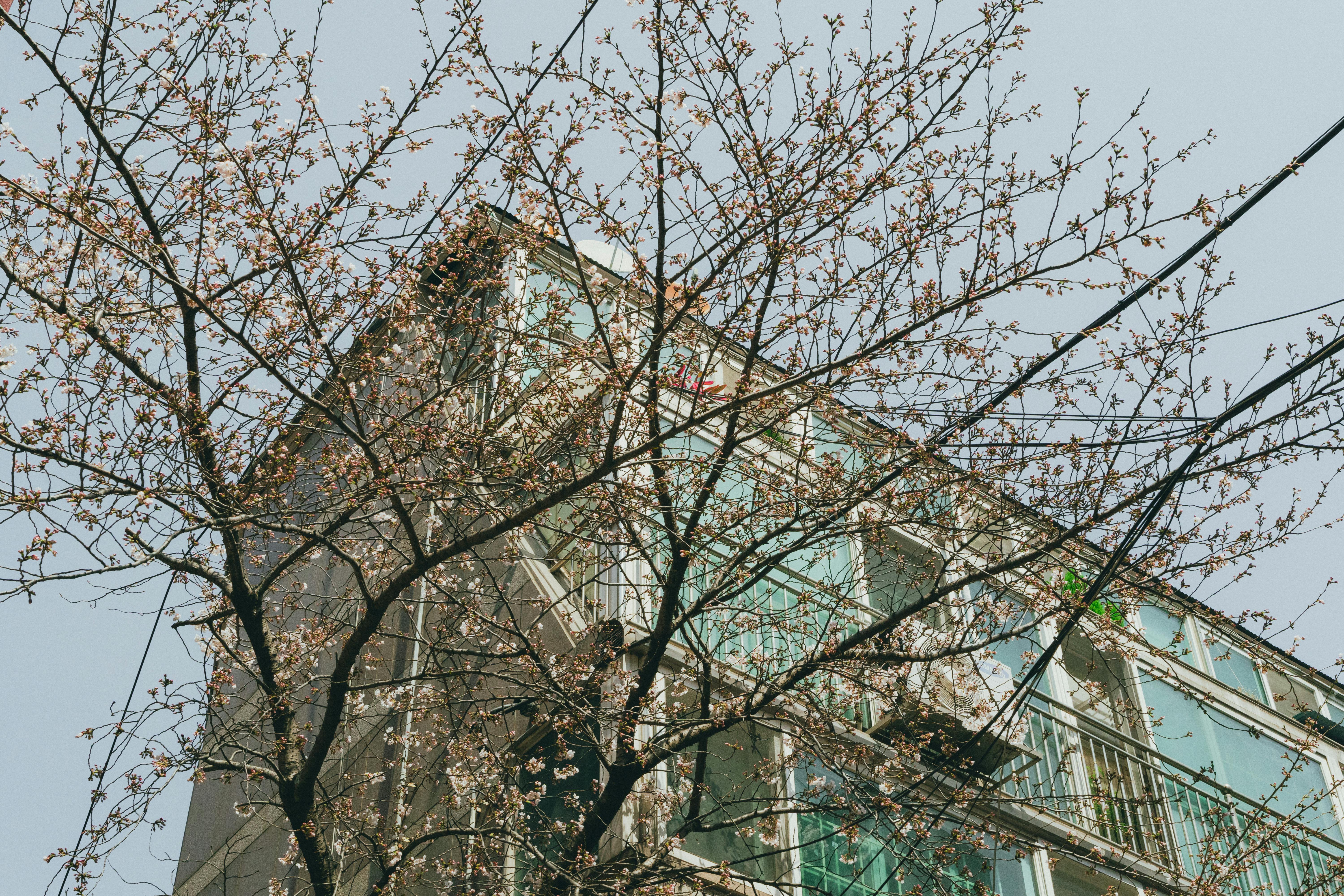 Anook Hotel Cheongju Uam 2nd branch